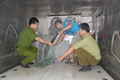 Kiểm soát chặt chẽ điều kiện kinh doanh cá tầm